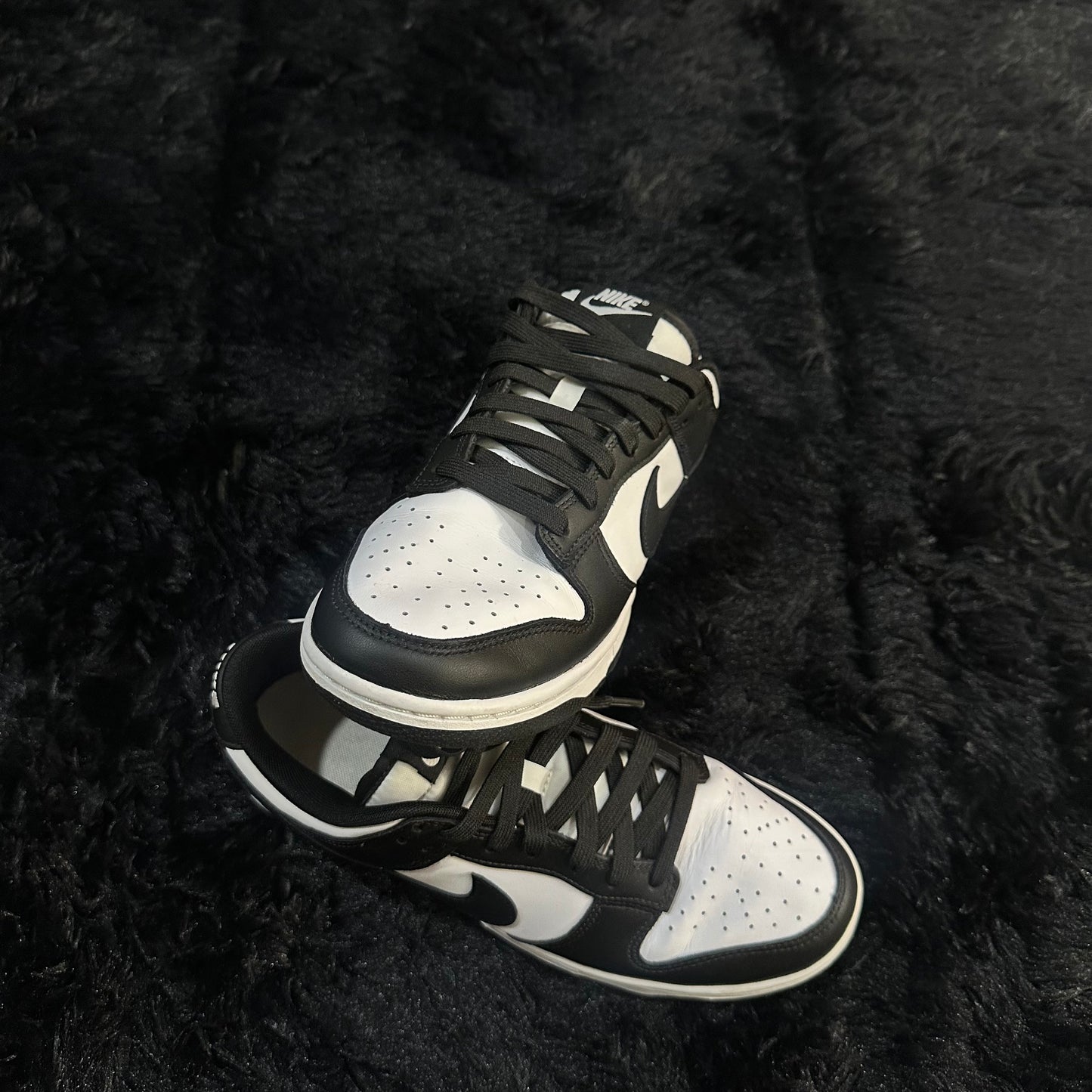 Dunk Panda