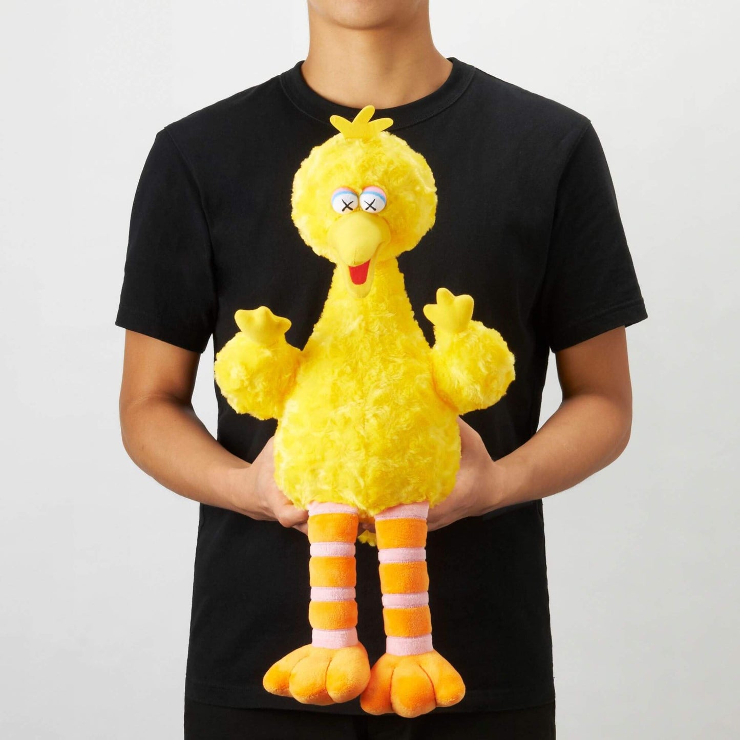 Kaws x Sesame Street Big Bird
