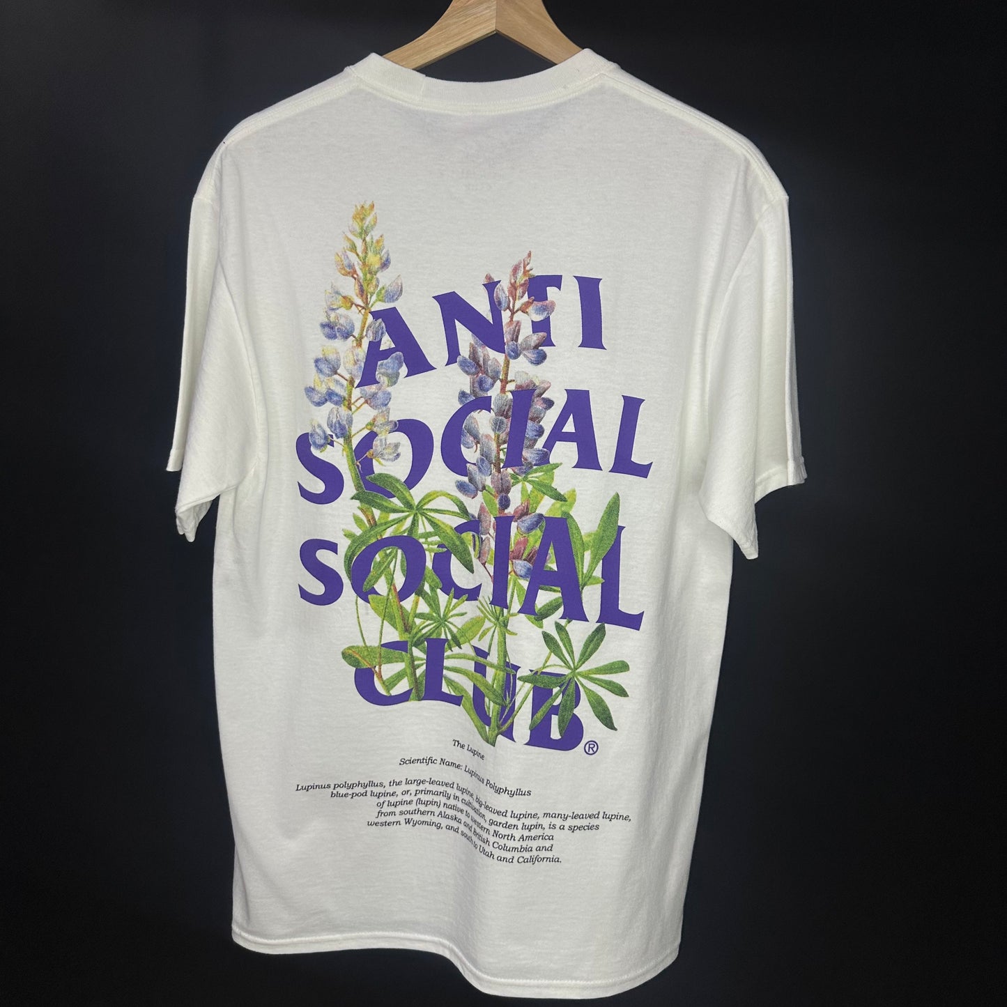 ANTI SOCIAL SOCIAL CLUB