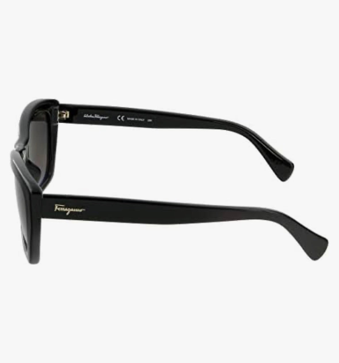 Ferragamo Sunglasses
