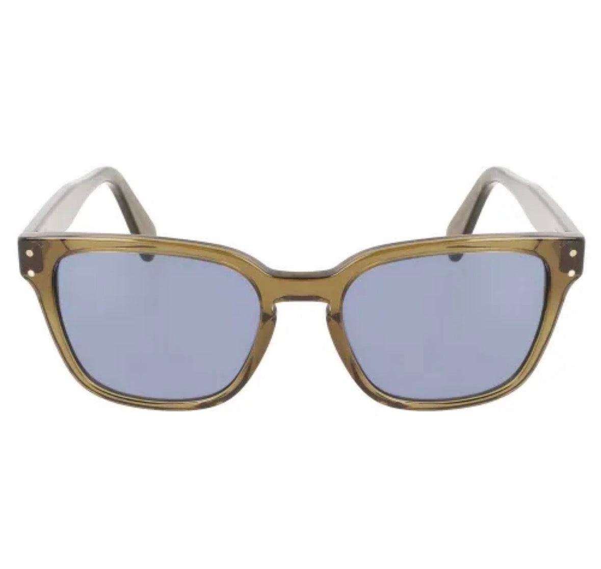 Ferragamo Sunglasses