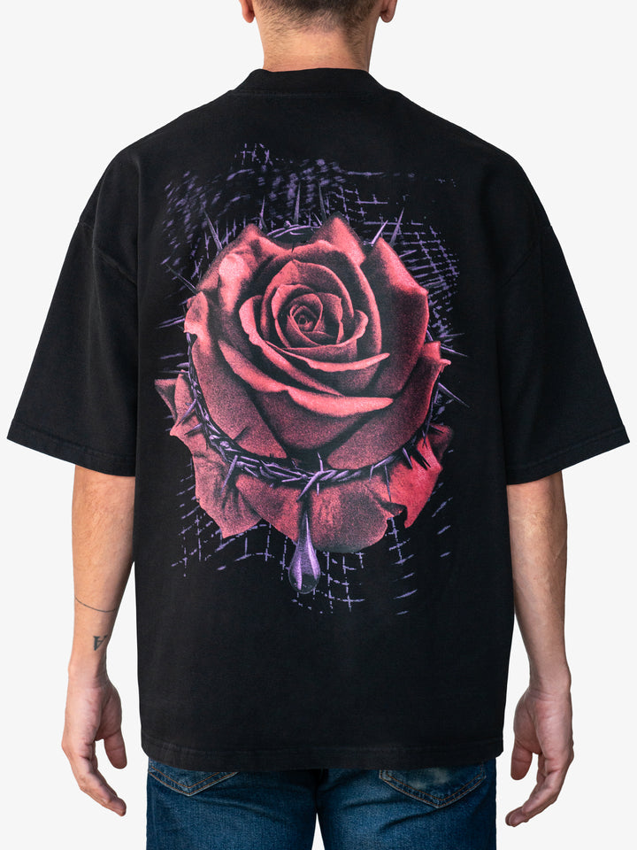 Prayers Rose