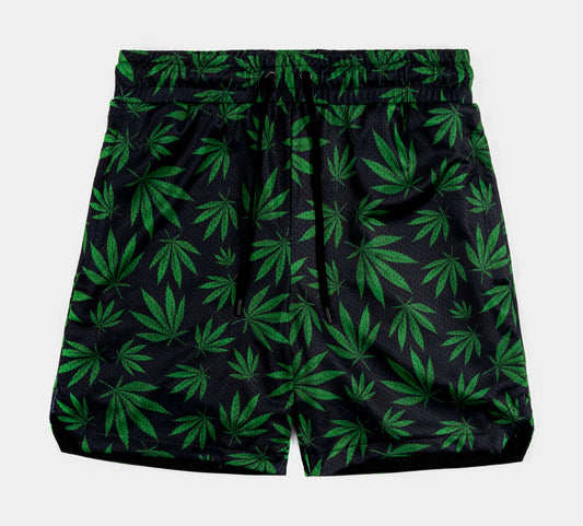 Maison Article green